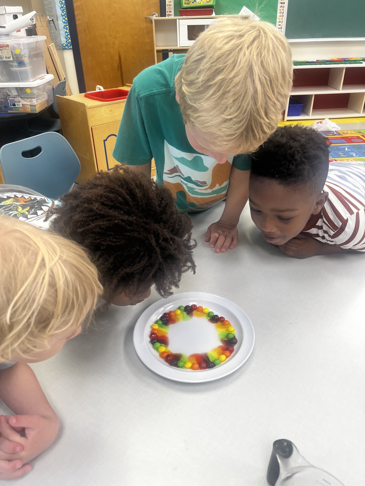 Campers observing a colorful science experiment